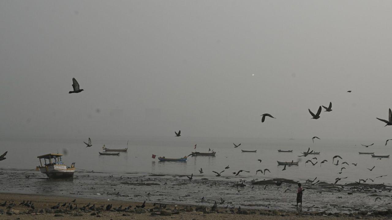 As Mumbai continues to grapple with air pollution, the hazy skies serve as a reminder of the urgent need for coordinated action by authorities, industries and citizens alike to address the growing air quality challenge and safeguard public health. PIC/ ASHISH RAJE