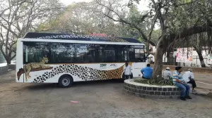 Mumbai LIVE: Bombay High Court order stops BEST buses inside SGNP
