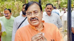 Mumbai LIVE: All opposing mining near Tadoba tiger reserve, HC will take a call