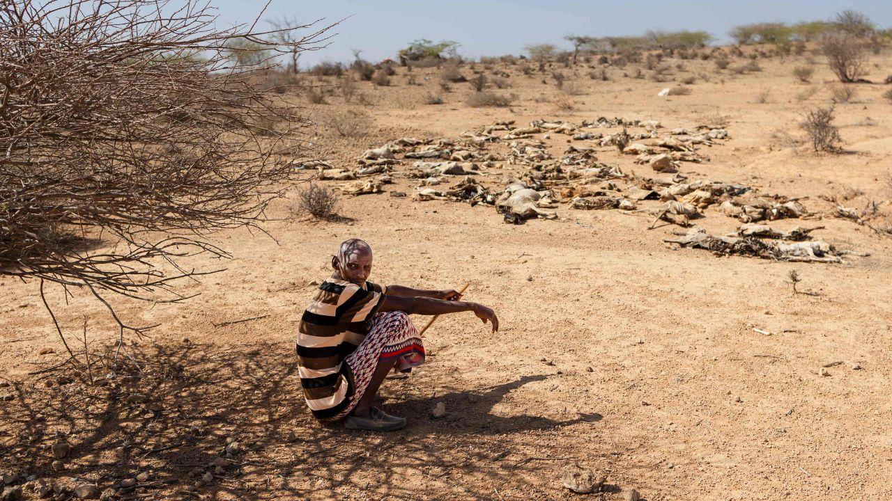 Bishar Maalim Mohammed, 60, rests in the shade of a dry scrub next to a cluster of goat carcasses outside his homestead in Jabi-bar village, showcasing extreme drought conditions