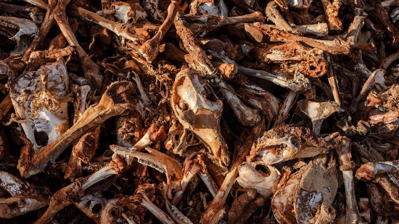 Climate change is intensifying extreme weather, making droughts and floods more severe and unpredictable for Kenya’s vulnerable communities