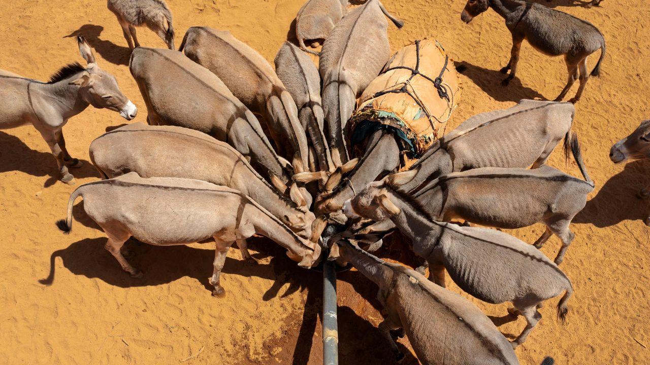 WHO-prepositioned emergency supplies, including cholera and pneumonia kits, reach only a fraction of people in urgent need and th crisis continues