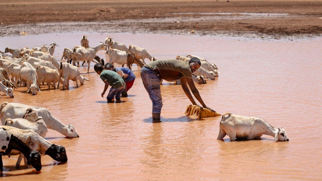 A drying water pan in Lulis village serves as the only water source for people and animals, with hardened soil raising flood risks when rains arrive