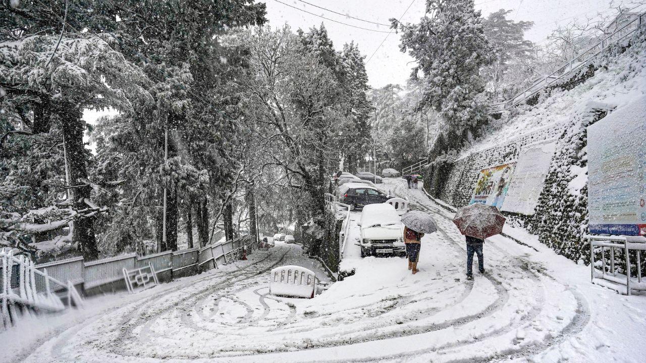 <p>The fresh snowfall has not only boosted tourist footfall in Shimla but has also enhanced the winter charm of the cold hill town, making it a memorable experience for visitors</p>