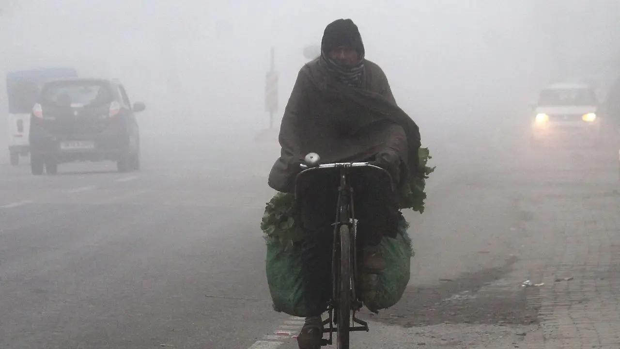 A man, wrapped in a shawl, pedals through a foggy lane carrying vegetables in Dehradun