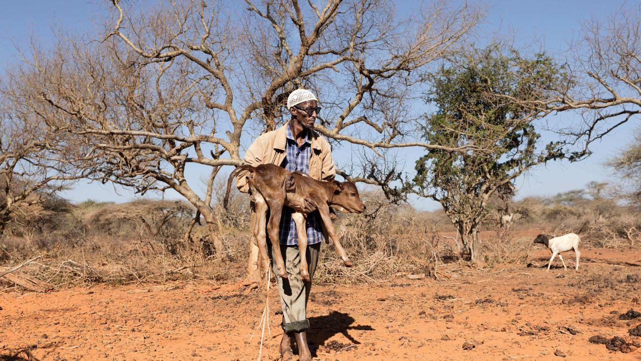 WHO calls on governments and agencies to mobilize urgently, ensuring safe water and food access before the next rains arrive