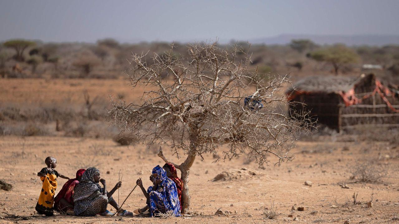 Drought induced heat and scarce vegetation concentrate disease vectors near water points, increasing risks of cholera, typhoid, and diarrhoeal diseases according to WHO