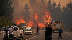 Wildfires in south Argentina rip through nearly 12,000 hectares of forest