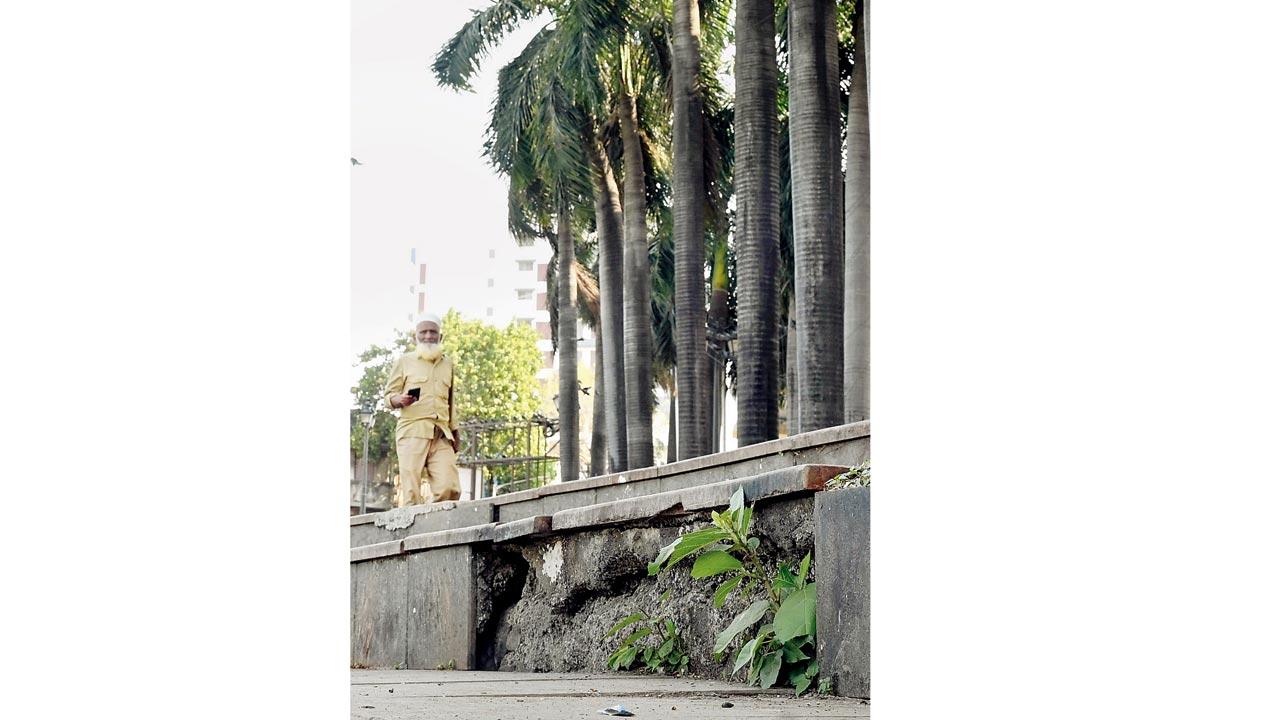 A broken section of the lake periphery wall