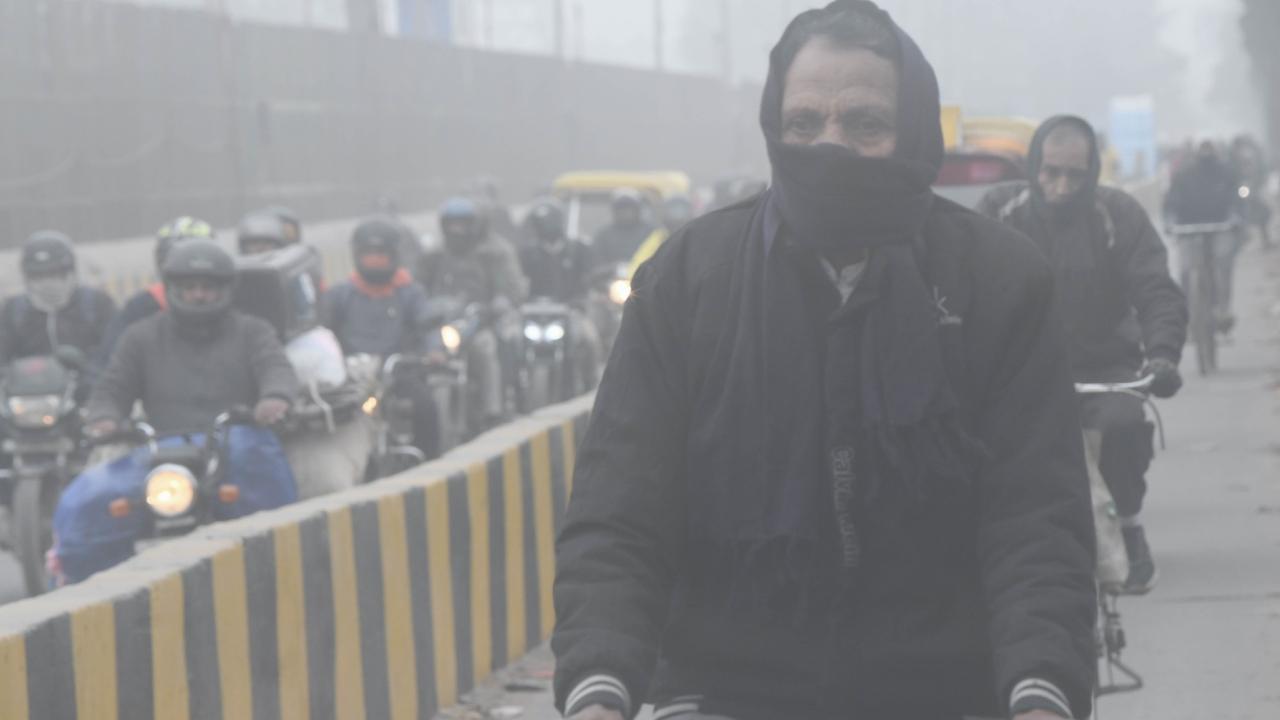 <p>The India Meteorological Department (IMD) has issued a yellow alert for dense fog during morning and forenoon. It has also forecasted a cold day</p> <p>The India Meteorological Department (IMD) has issued a yellow alert for dense fog during morning and forenoon. It has also forecasted a cold day</p>