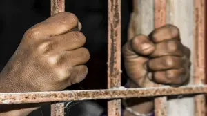 Three Indians held at Colombo airport with cannabis worth LKR 500 million