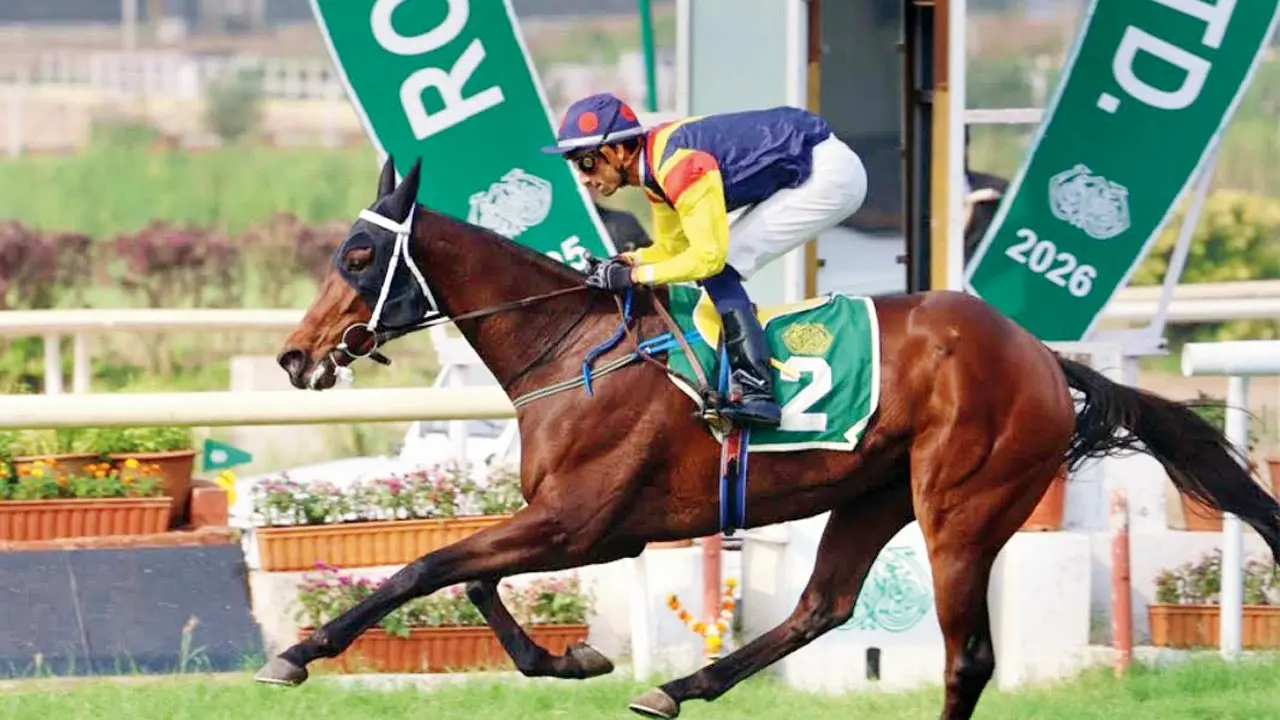 Fynbos seeks redemption in Villoo C Poonawalla Indian Oaks (Gr 1)