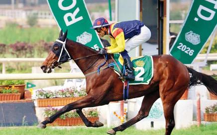 Fynbos (P Trevor up). Pic/RWITC