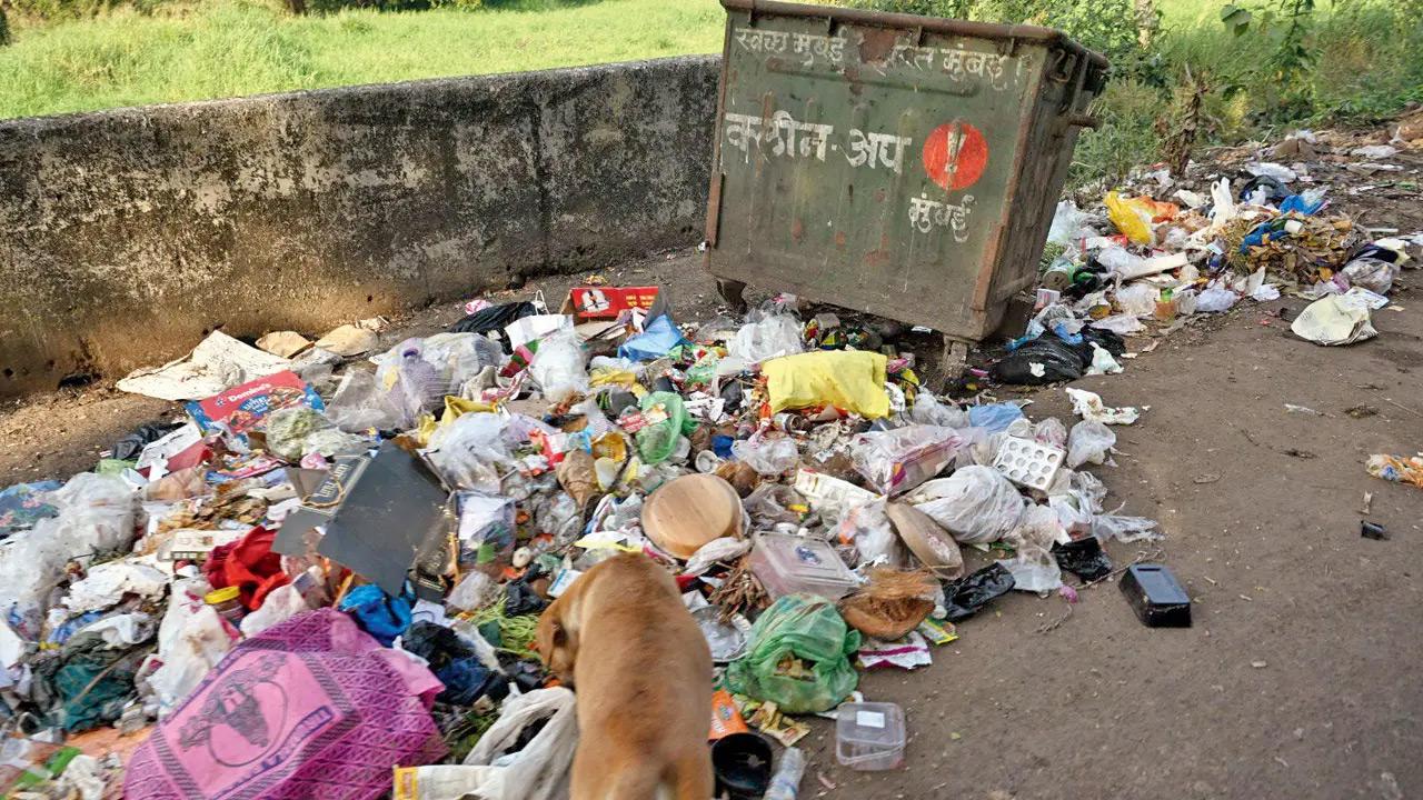 Efficient waste management is not only about aesthetics