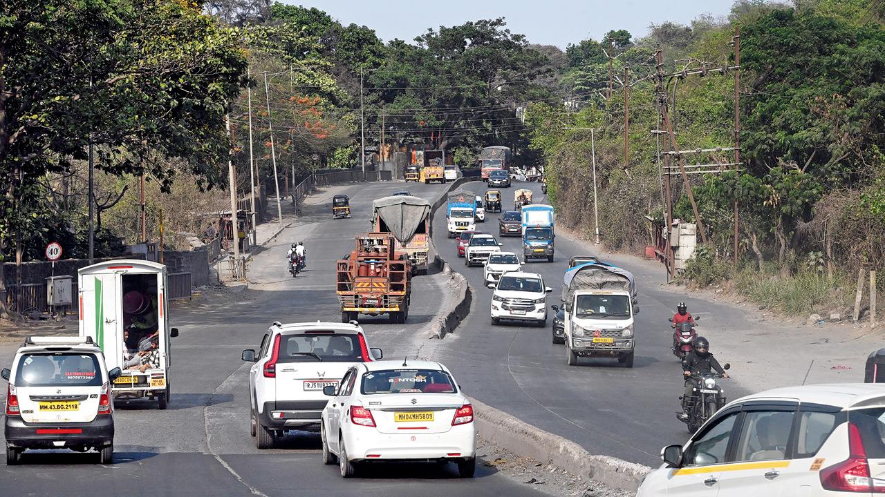 Forest officials push for wildlife safety amid Ghodbunder-Gaimukh road widening