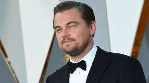 Leonardo DiCaprio: 'Cinema expresses what it means to be human'