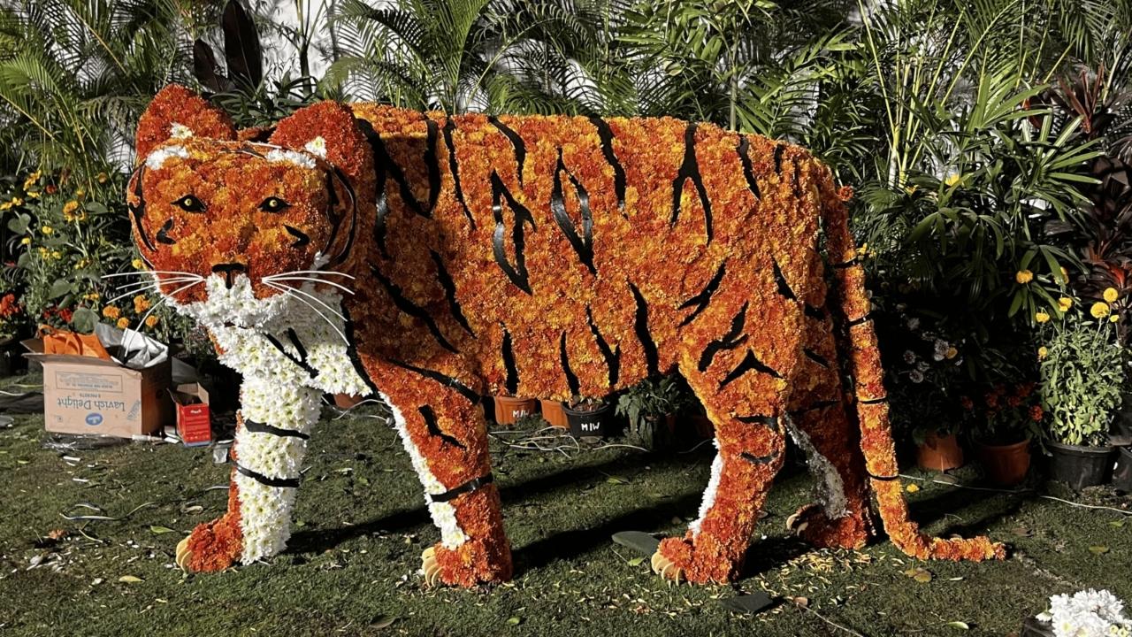 BMC to host Mumbai Flower Festival at Byculla zoo from Feb 6-8