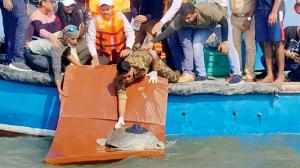 Satellite-tagged Olive Ridley travelled 1000 km since November