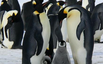 Image for representational purpose only. Photo Courtesy: Pixabay