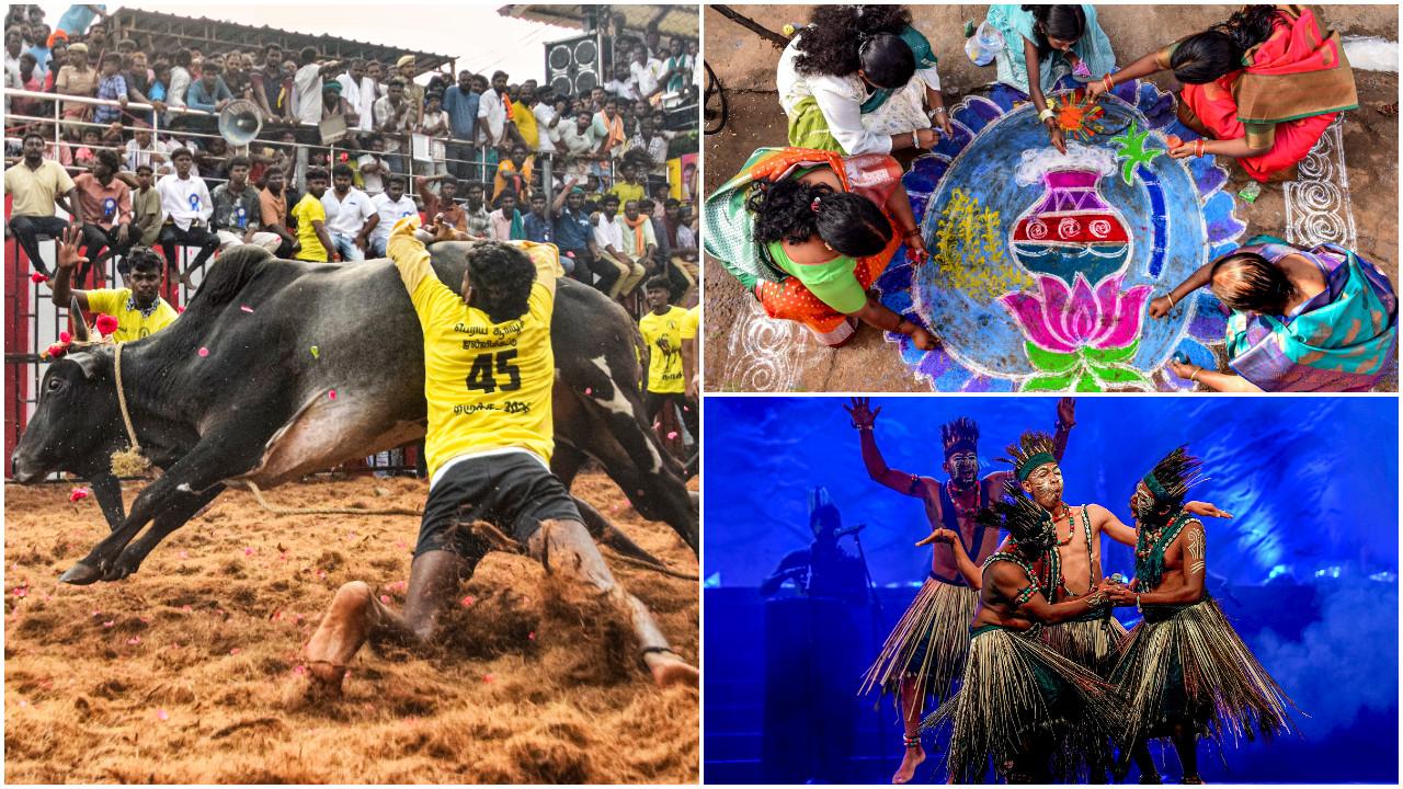 PICS: Devotees celebrate Pongal 2026 across Tamil Nadu and Karnataka
