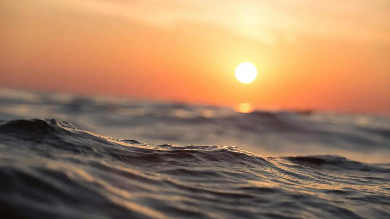 Microplastics hamper oceans’ ability to absorb CO2, study warns