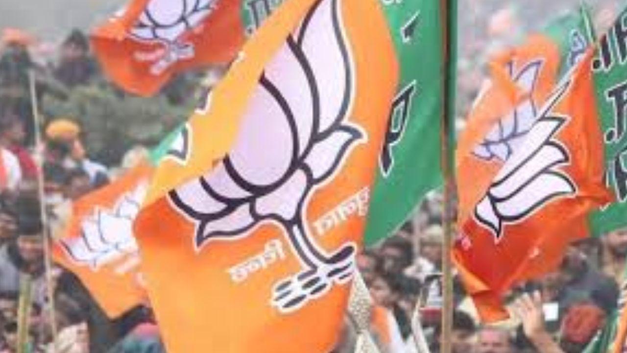 BJP’s Yogita Sunil Koli wins Malad West ward with landslide margin