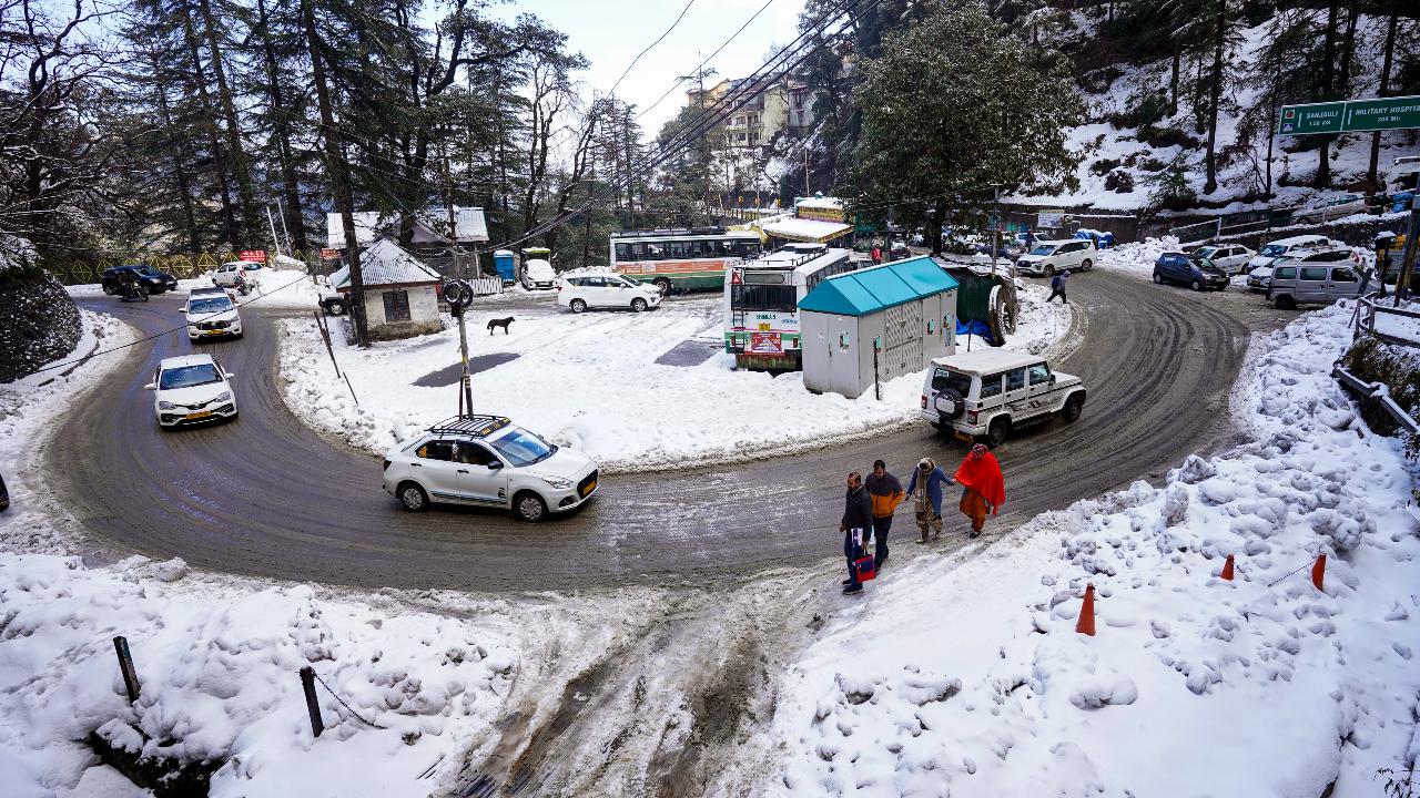 Tourists thrilled as fresh snowfall blankets Shimla; travel industry sees reviva