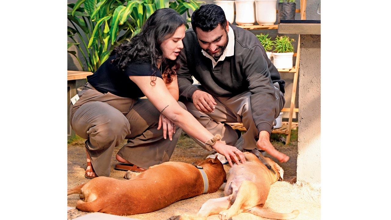 This Kandivali cafe wants you unwind in fast-paced Mumbai