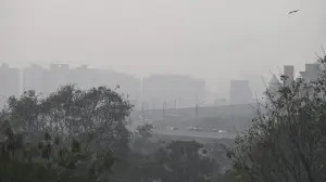 IN PHOTOS: Mumbai's skyline fades as city submerges in smog