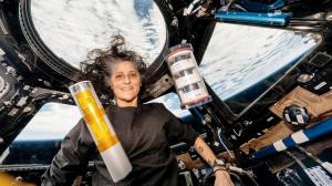 NASA astronaut Sunita Williams retires after months-long space station mission