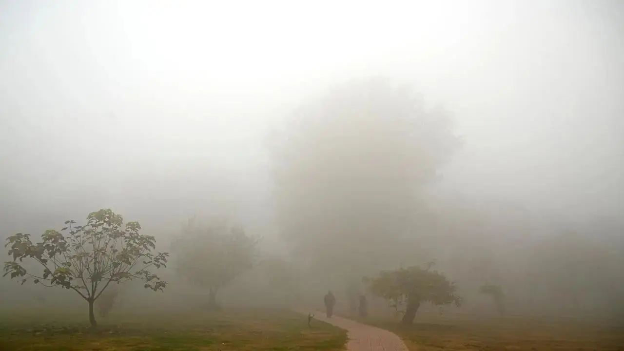 Una fuerte ola de frío y una densa niebla afectan el norte, el centro y el este de la India; nevadas en JK
