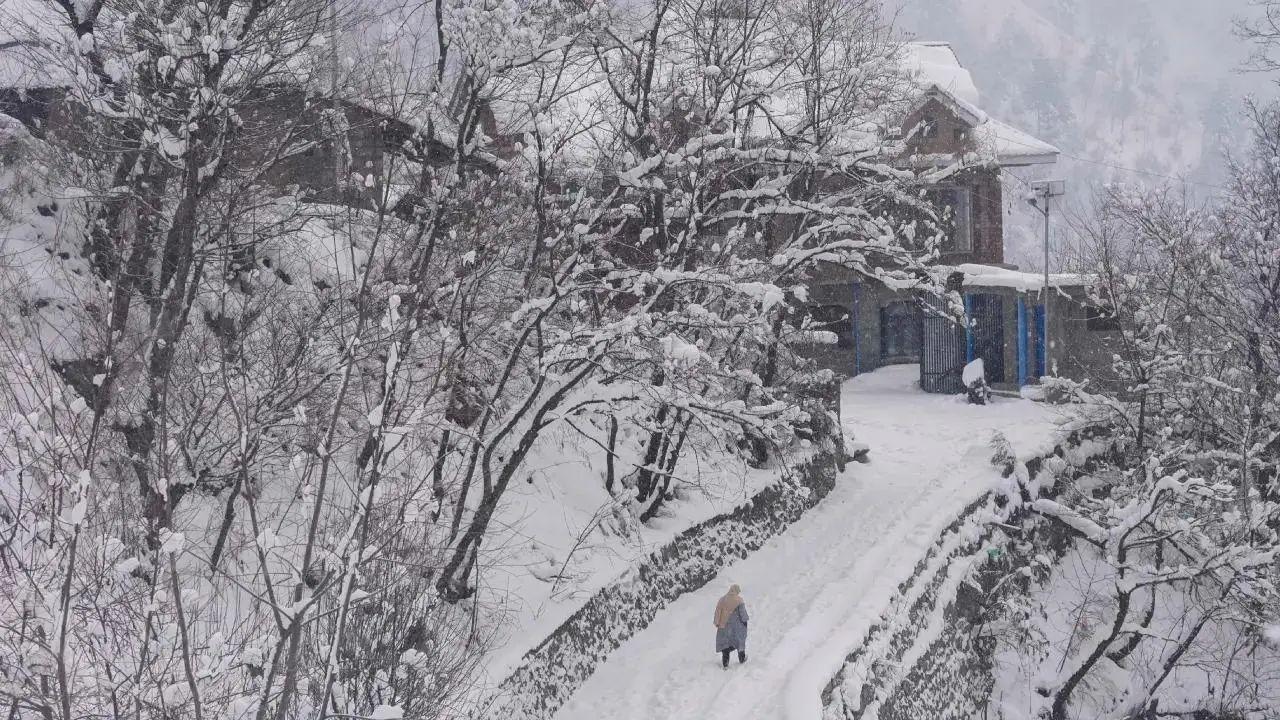 Las nevadas cierran la carretera Srinagar-Jammu por segundo día y los turistas quedan varados Las nevadas cierran la carretera Srinagar-Jammu por segundo día y los turistas quedan varados