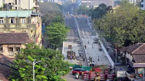IN PHOTOS: Belasis Flyover in Mumbai Central nears completion