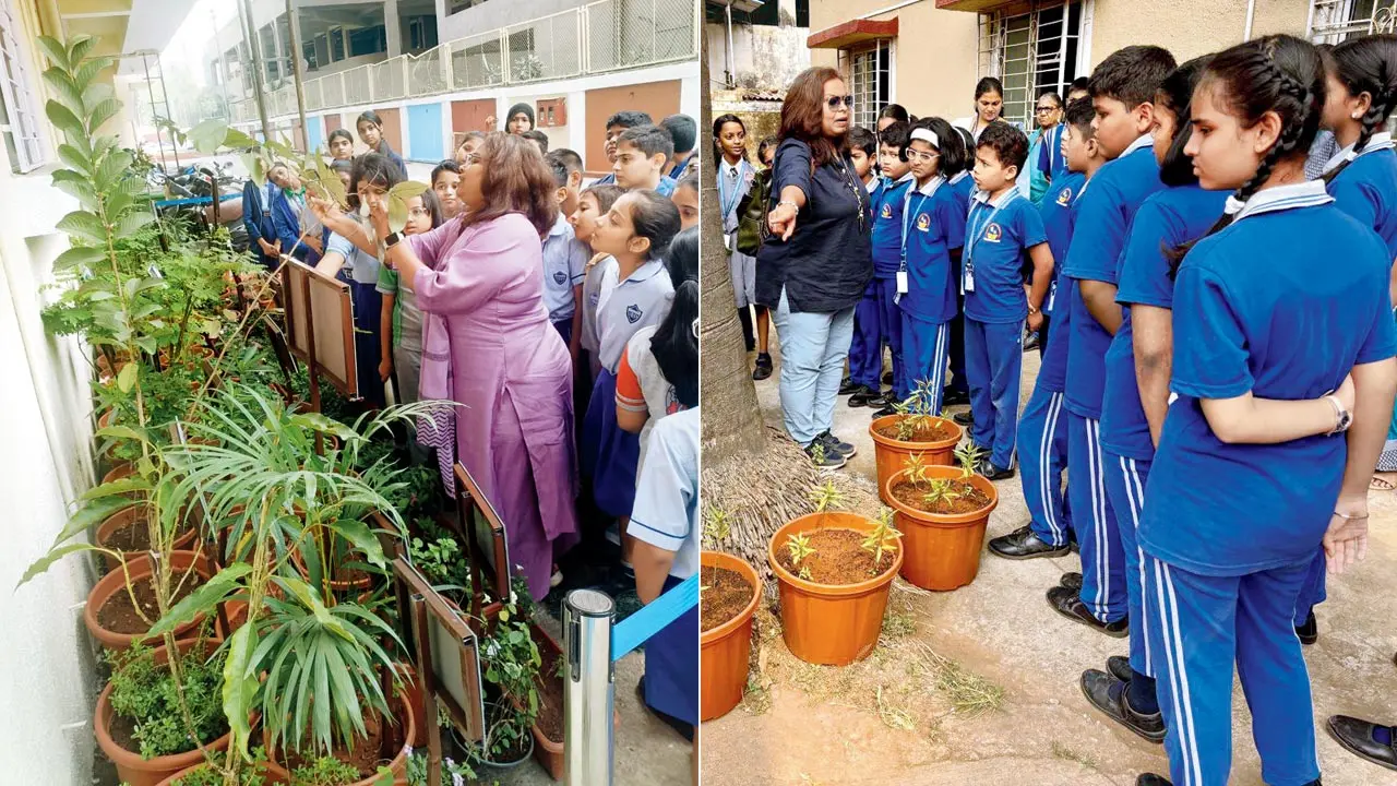 Dr V Shubhalaxmi (in purple) with children at Shree Balaji International School, Kalamboli; (right) Dr V Shubhalaxmi instructs students at Nagraj Sheth School, Uran. Pics Courtesy/Inaturewatch Foundation
