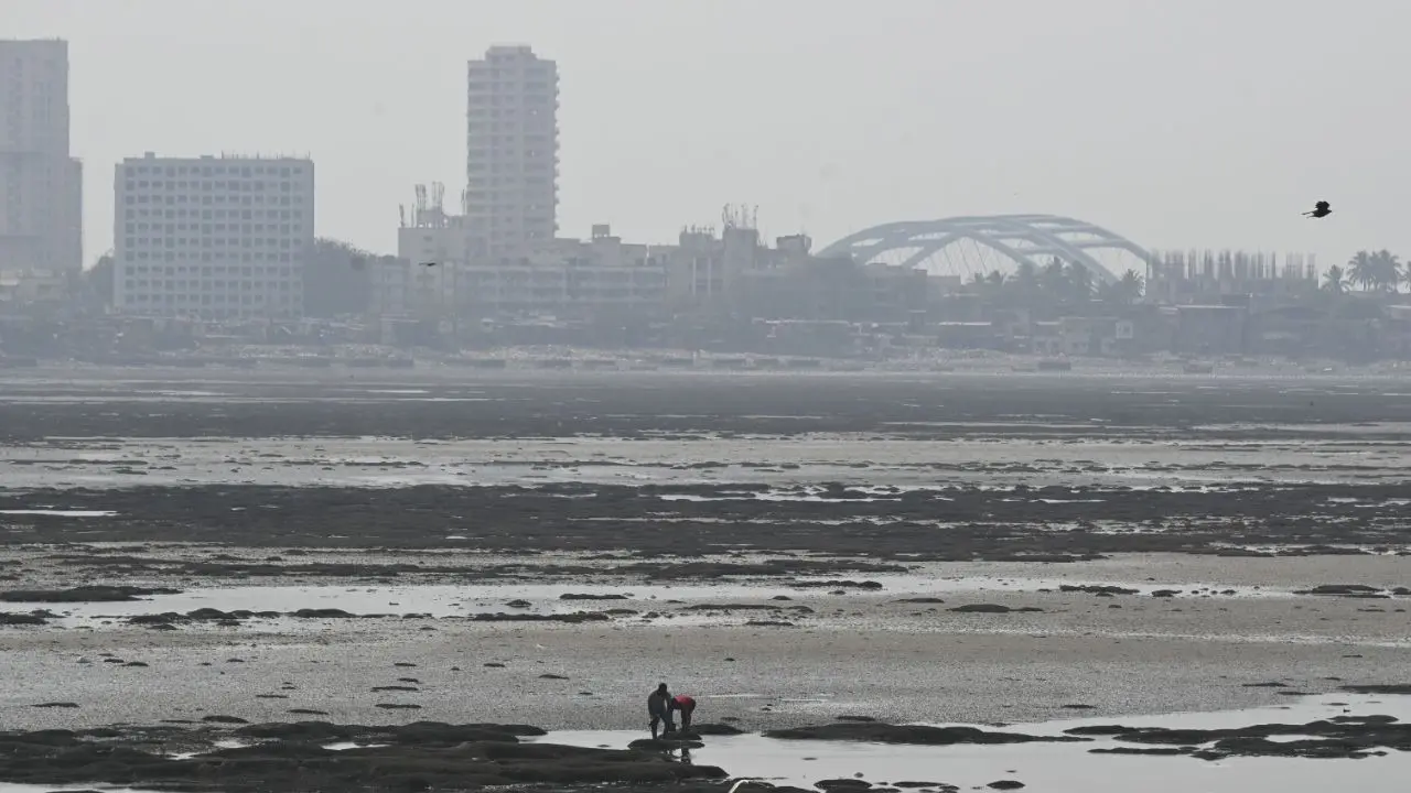 Mumbai weather update: Clear skies, mild temperatures greet city; AQI at 119