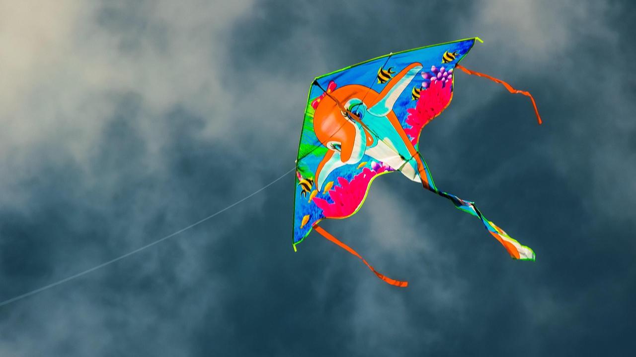 Indore man dies after kite string slits his throat while riding bike