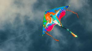 Indore man dies after kite string slits his throat while riding bike