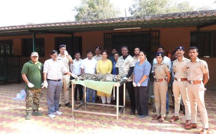 Forest officials decided to monitor the leopard closely before releasing it back into the wild. Pic/SGNP/Maharashtra Forest Department
