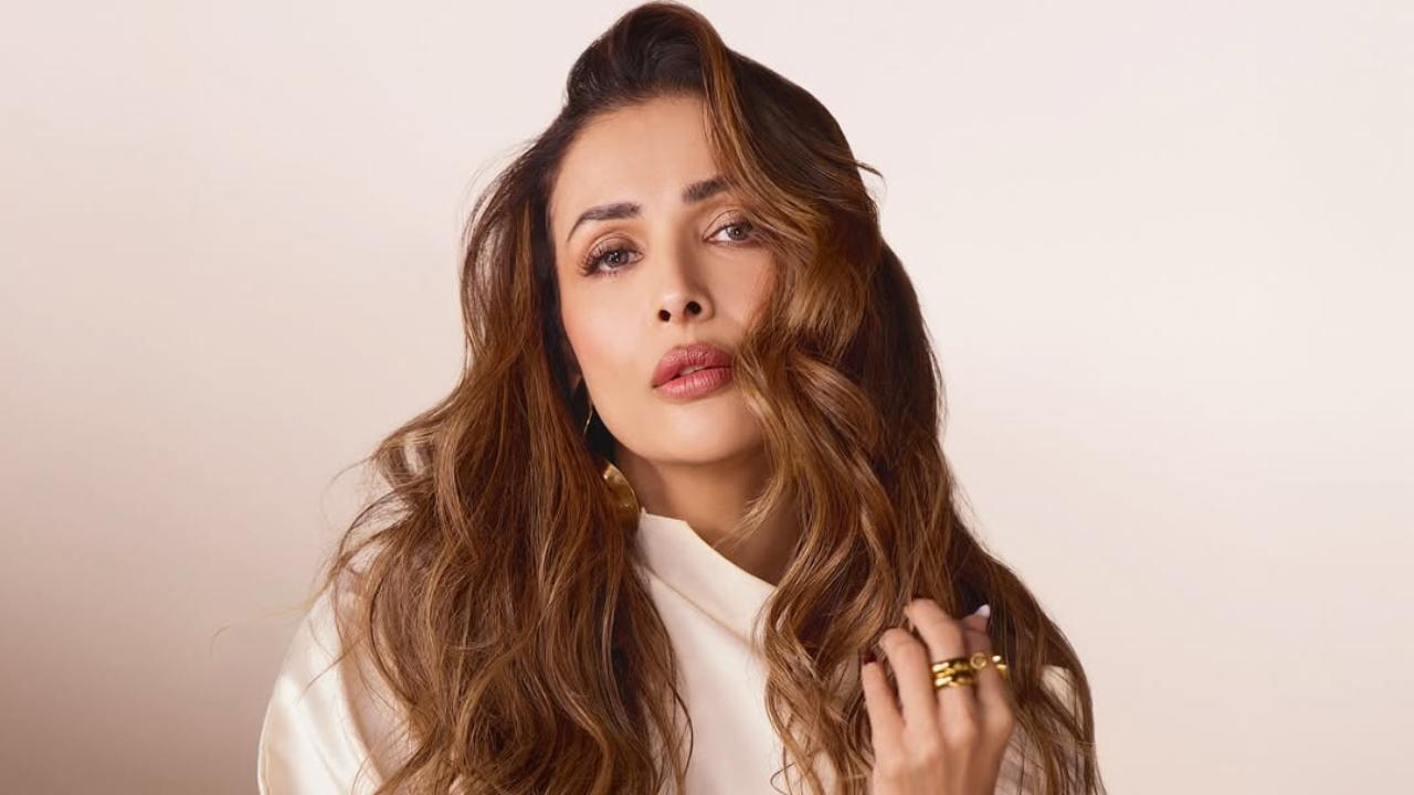 Malaika Arora on equation with Arjun Kapoor: 'He is very important to me'