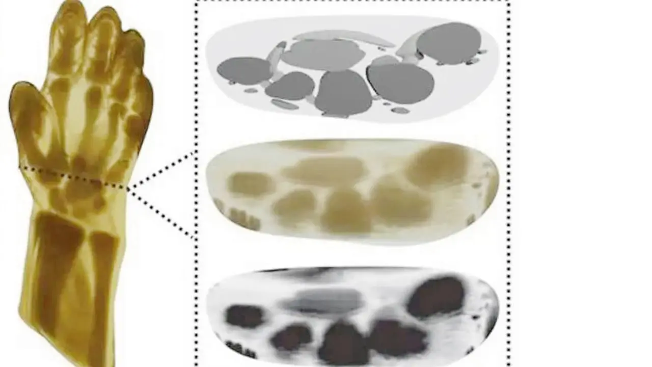 Realistic human hand 3D-printed using new low-cost method