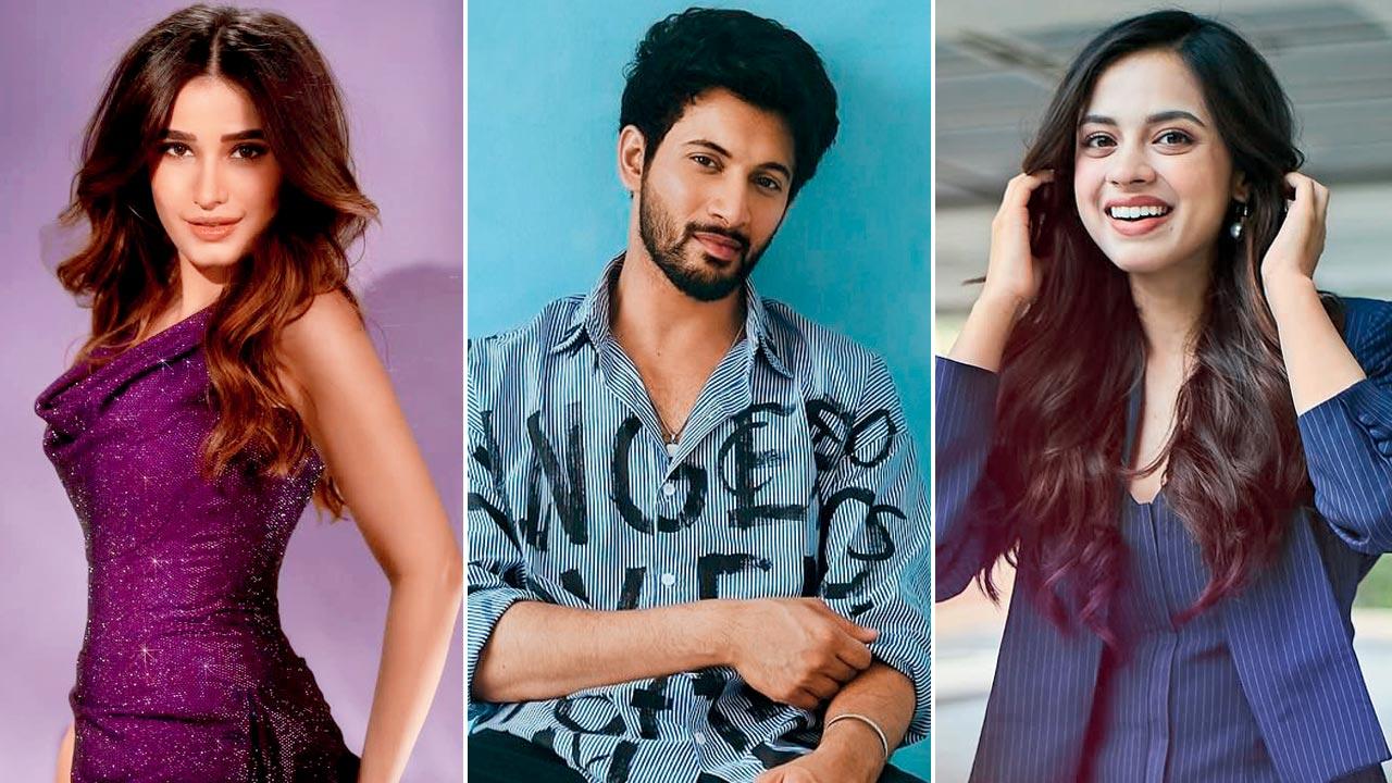 Rohit Saraf, Nitanshi Goel, Rasha Thadani to star in a love story