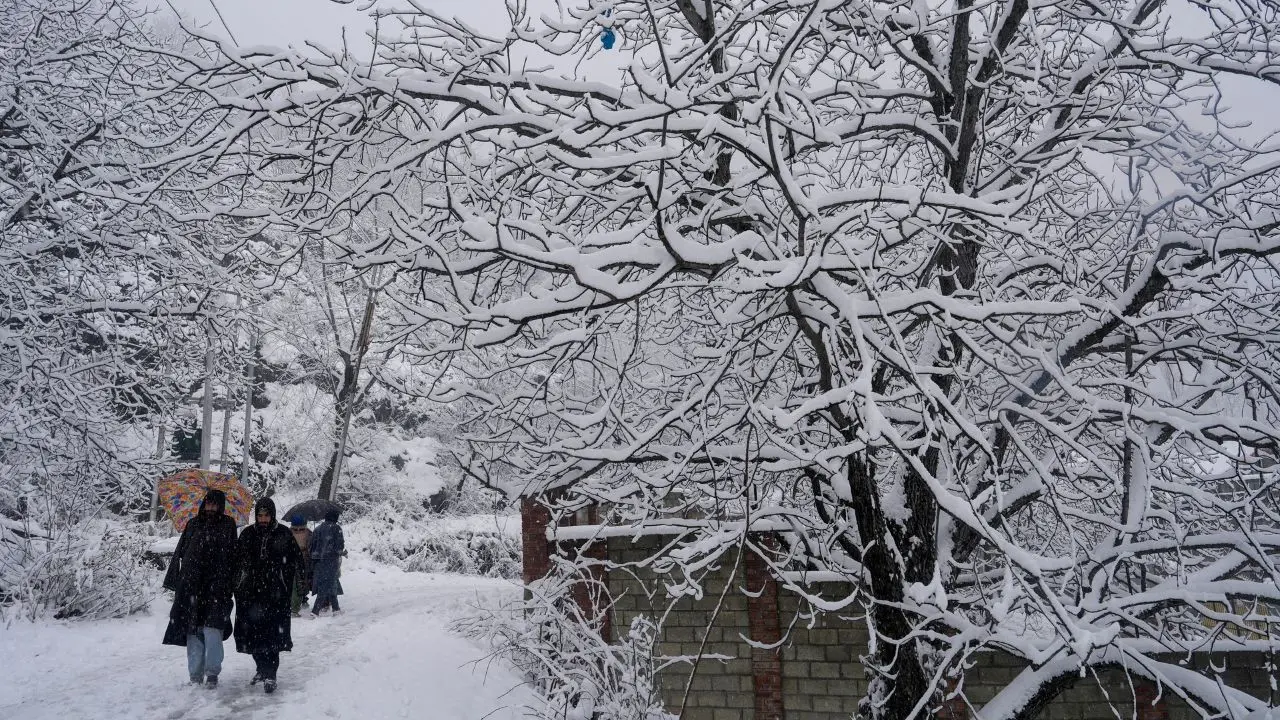 IN PHOTOS: Snowfall turns Kashmir into winter wonderland