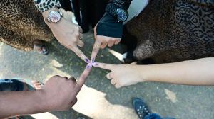 Mumbai to go to polls for 227 wards on Thursday, vote counting at 23 locations