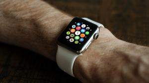 Use of wearable health tech use can increase 42-fold by 2050 globally: Study