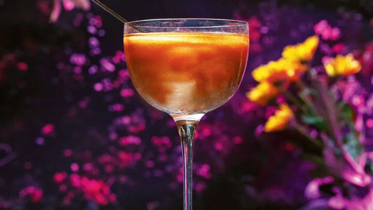 Aneja Lush Margarita