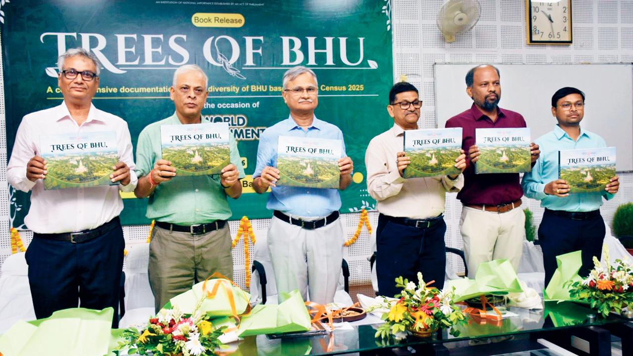 NGT asks UPPCB to recover Rs 2.65 crore from BHU for illegal tree felling