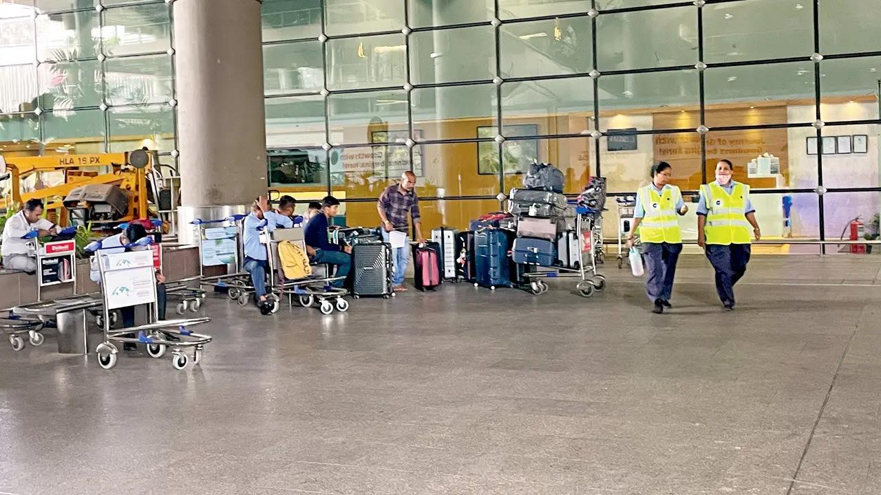 Consumer panel dismisses complaint against Brussels Airlines Representation pic