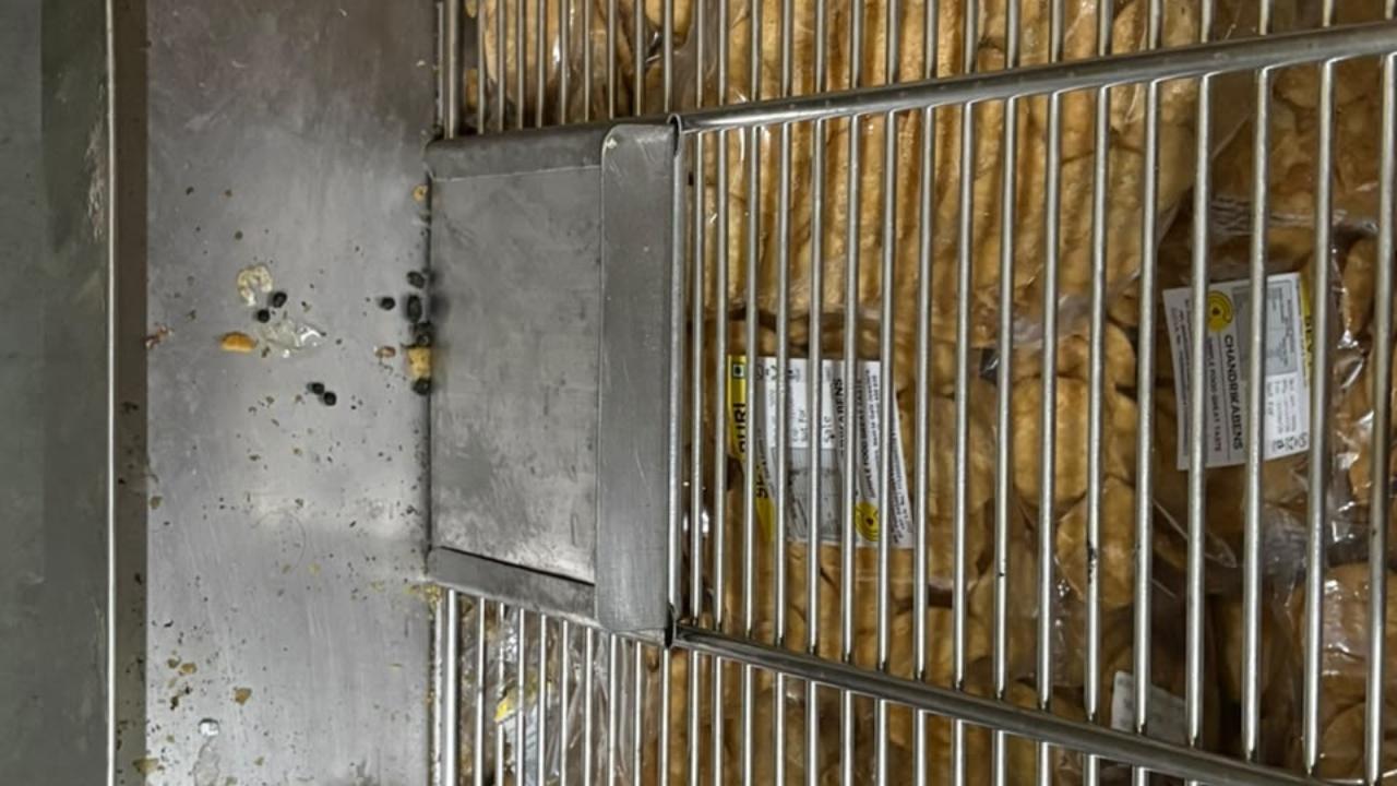 The inspection at MIG Cricket Club also found live cockroaches and cobwebs in the kitchen, it said.Other violations included improper handling and storage of raw, cooked, vegetarian and non-vegetarian food, failure to conduct periodic food and water testing, unauthorised structural and management changes without informing the licensing authority, and the absence of qualified technical personnel and mandatory health records of food handlers, the FDA said