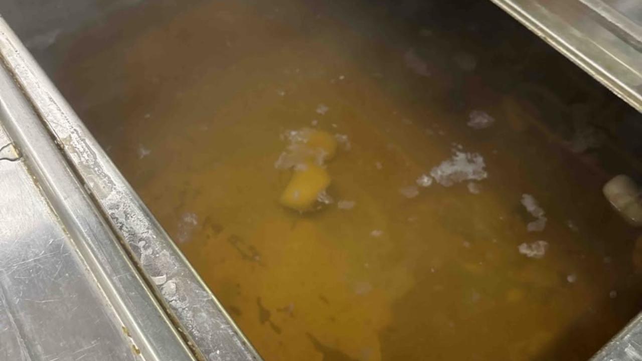 The CCI's kitchen lacked segregation between vegetarian and non-vegetarian food preparation areas, and FDA inspectors also found a large number of cockroaches and flies near food handling and waste disposal areas, said an official statement
