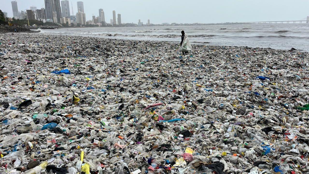Civic authorities have in the past appealed to citizens to avoid littering and to dispose of waste responsibly so that less garbage reaches the sea through the city&rsquo;s drainage system.